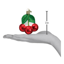 Load image into Gallery viewer, OLD WORLD CHRISTMAS CHERRIES GLASS CHRISTMAS ORNAMENT 28050