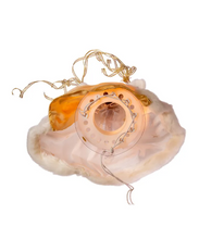 Load image into Gallery viewer, KURT ADLER 16" UL 10-LIGHT CREME &amp; GOLD ANGEL CHRISTMAS TREE TOPPER UL2216
