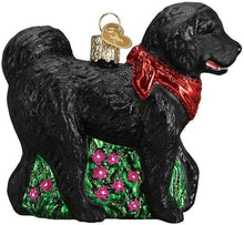 Load image into Gallery viewer, OLD WORLD CHRISTMAS BLACK DOODLE DOG GLASS CHRISTMAS ORNAMENT 12560
