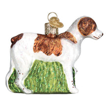 Load image into Gallery viewer, OLD WORLD CHRISTMAS BRITTANY SPANIEL GLASS CHRISTMAS ORNAMENT 12330

