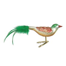 Load image into Gallery viewer, OLD WORLD CHRISTMAS CHRISTMAS BIRD BLOWN GLASS CHRISTMAS ORNAMENT 18008
