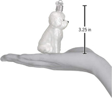 Load image into Gallery viewer, OLD WORLD CHRISTMAS BICHON FRISE GLASS DOG CHRISTMAS ORNAMENT 12298
