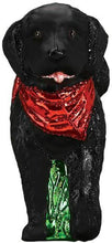 Load image into Gallery viewer, OLD WORLD CHRISTMAS BLACK DOODLE DOG GLASS CHRISTMAS ORNAMENT 12560
