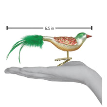 Load image into Gallery viewer, OLD WORLD CHRISTMAS CHRISTMAS BIRD BLOWN GLASS CHRISTMAS ORNAMENT 18008
