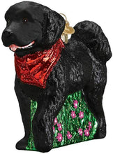 Load image into Gallery viewer, OLD WORLD CHRISTMAS BLACK DOODLE DOG GLASS CHRISTMAS ORNAMENT 12560
